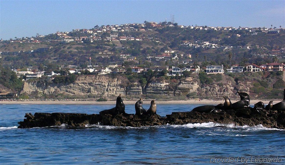 Holiday Inn Express San Clemente N - Beach Area By Ihg Экстерьер фото